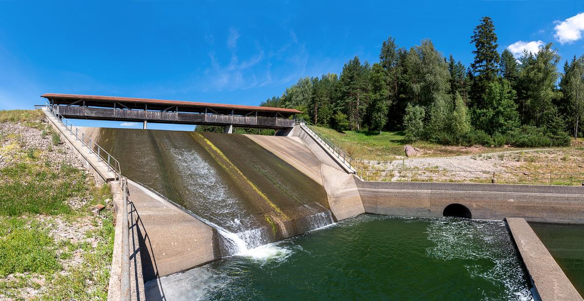 Nagold: Wasser und Rührei als erste Stärkung - Nagold & Umgebung -  Schwarzwälder Bote